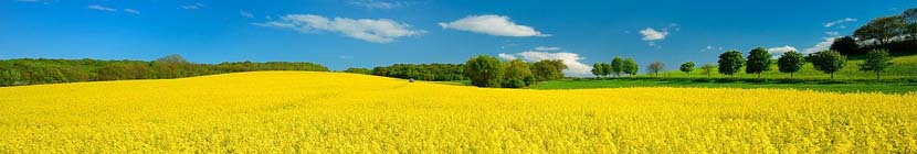 ��Ʒ��װ���